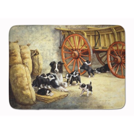 Jensendistributionservices Border Collie Dog Litter Machine Washable Memory Foam Mat MI2550597